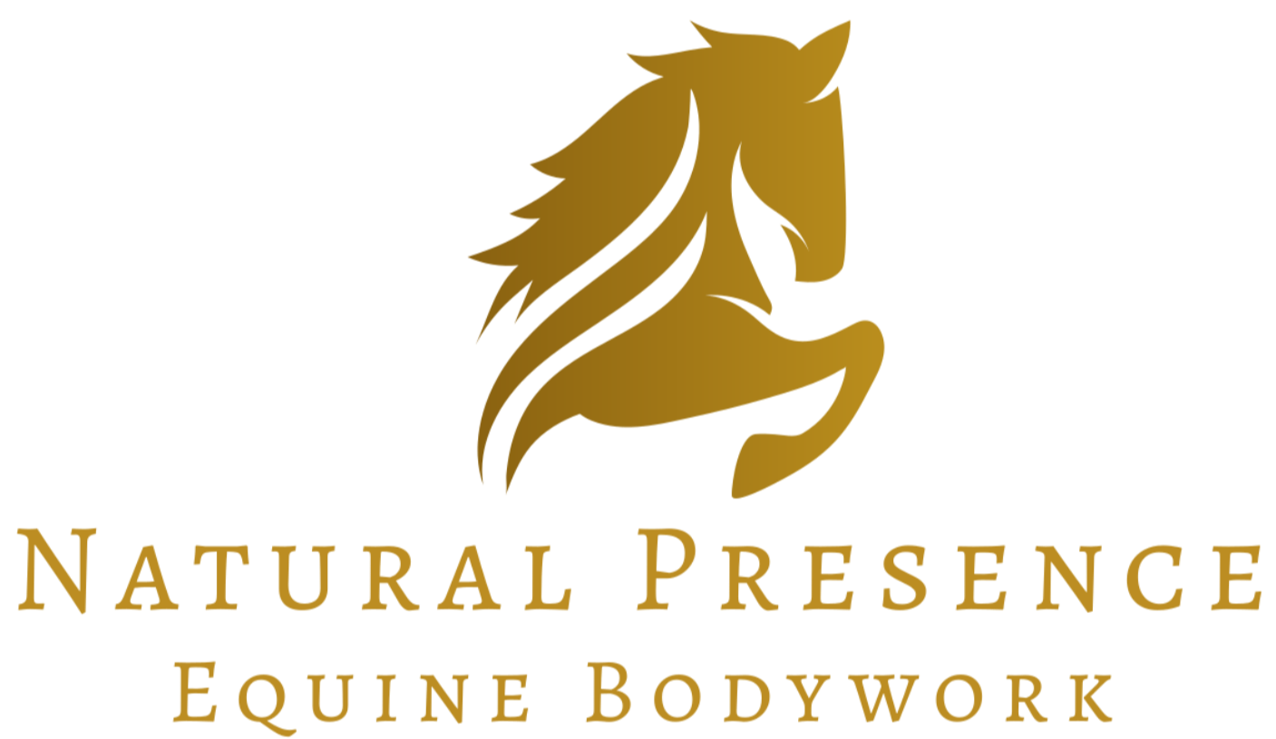 Natural Presence Equine Gift Card