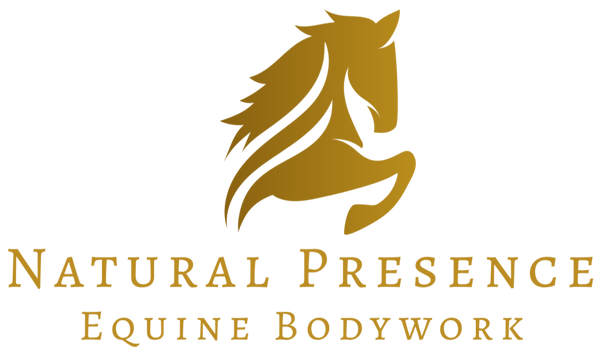 Natural Presence Equine Bodywork